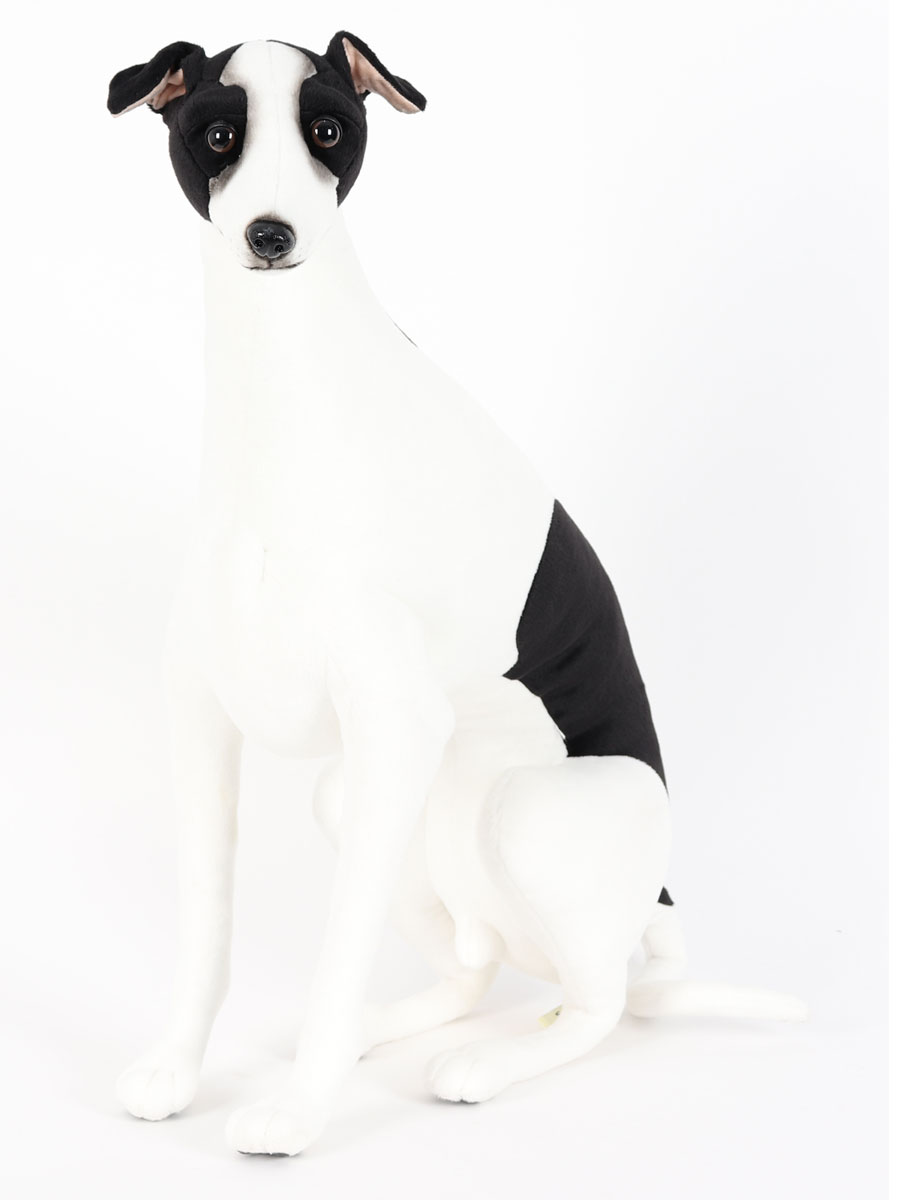 cho-nhoi-bong-italian-greyhound-black-white-sitting-28l10w22h-inches-6645.jpg